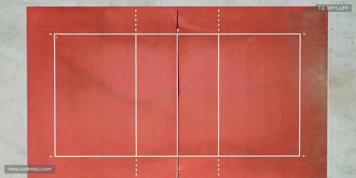 🏀 直播时刻，每一秒都不容错过！